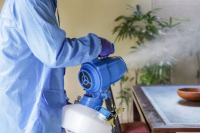 Fumigation Service in Toledo, OH