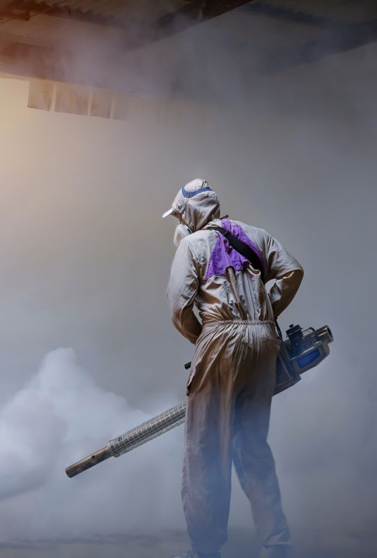 Rat Fumigation Service in Davis County, UT