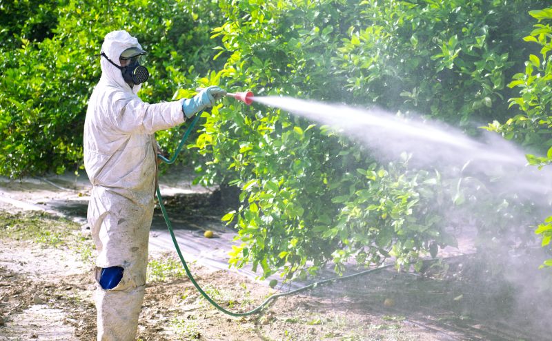 Residential Fumigation in Gwinnett County, GA