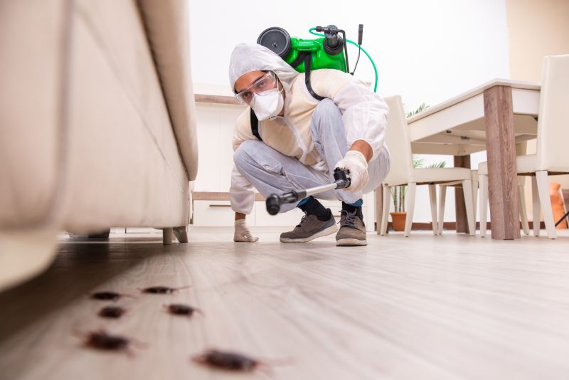 Insect Extermination Service in Frisco, TX