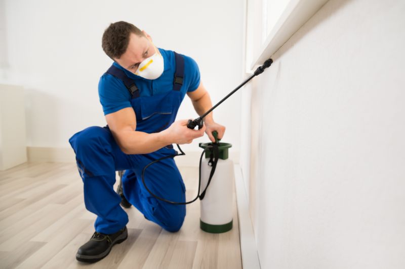 Ladybug Removal in Frisco, TX