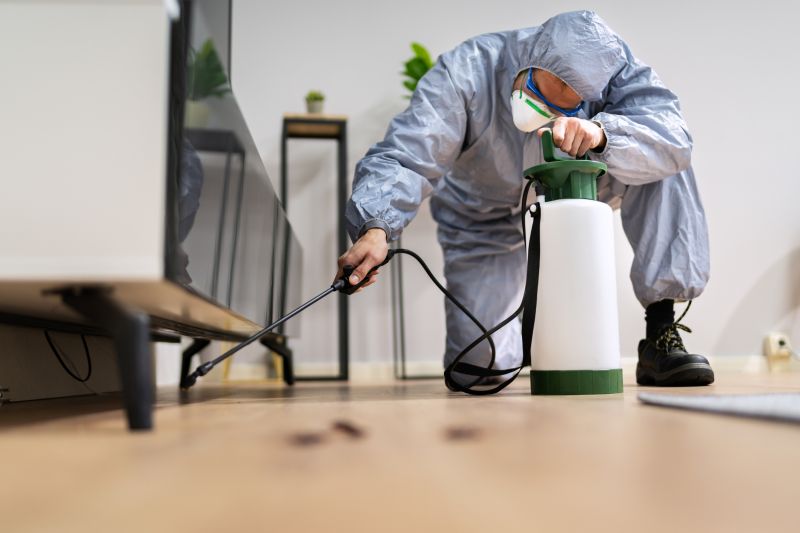 Roach Fumigation in Phoenix, AZ