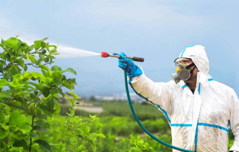 Roach Fumigation in Myrtle Beach, SC