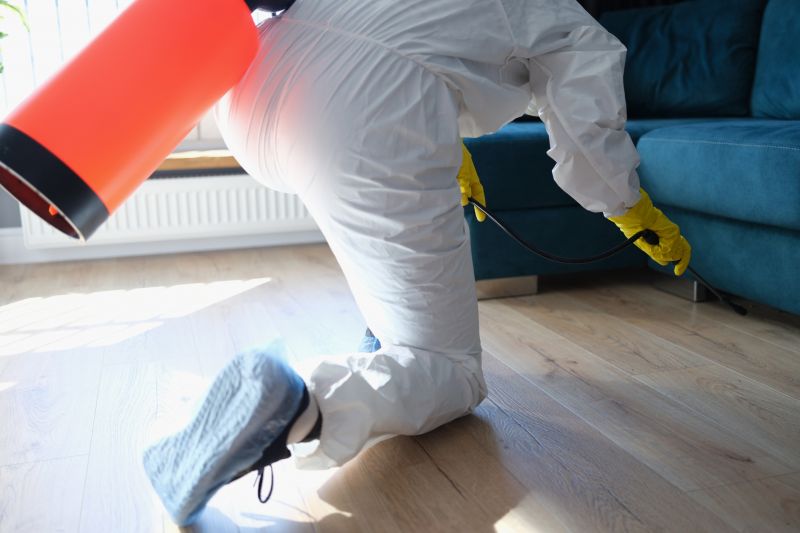 Spider Fumigation Service in Gwinnett County, GA