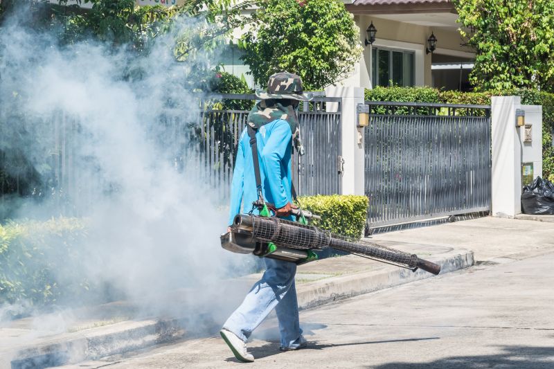 Spider Fumigation Service in Gwinnett County, GA