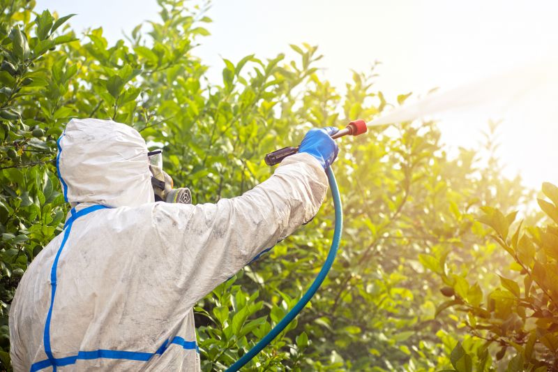 Spider Fumigation Service in Woodbridge, VA