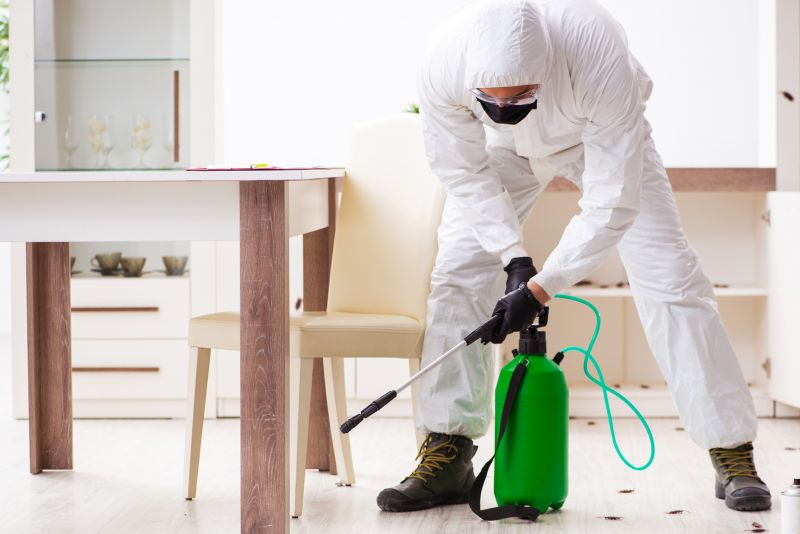 Exterminator Companies
